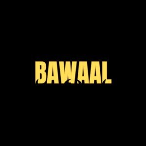 Bawaal Plan For 7 Days